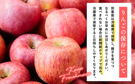 【レビューキャンペーン】《2月発送》 サンふじりんご 「 特A 」規格 約5kg (14～20玉程度)[hi-0009-006]