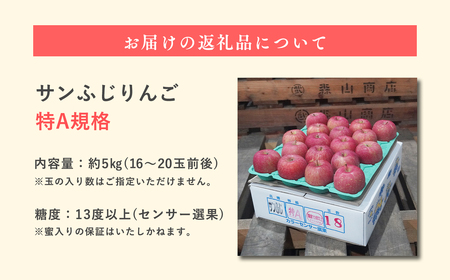 【レビューキャンペーン】《3月発送》サンふじりんご 「 特A 」規格 約5kg(14～20玉程度)[hi-0009-014]