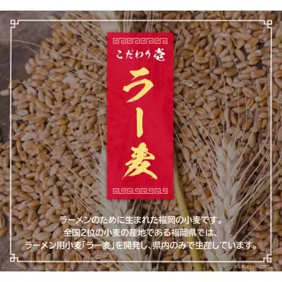 Z56-01 寄附額改定↓↓ 博多とんこつラーメン5食（ラー麦使用） ラーメン