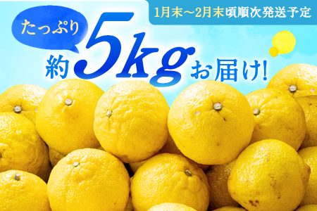 AA090.福岡柑橘王国・はるか／約5kg(2027年1月末～2月末発送予定)