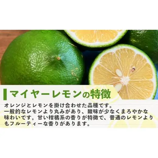 【先行予約】こだわりの青切りマイヤーレモン 約1kg (6～9個) 