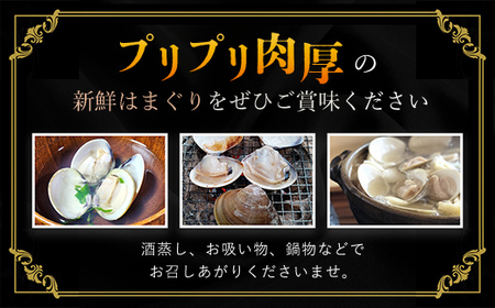 天然はまぐり 1kg 九十九里産 加熱調理した新鮮はまぐりを真空冷凍！ SMAJ016 千葉県 山武市 はまぐり ハマグリ 蛤