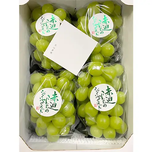 ぶどう シャインマスカット 2kg  3房～4房 1房 約500g～600g 葡萄 フルーツ 岡山 高梁市産 赤迫農園 2026年 先行予約
