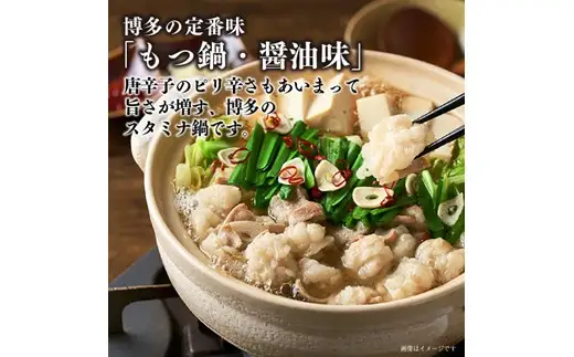 AE175.【博多華味鳥】もつ鍋セット（醤油味）／3～4人前【もつ鍋・醤油味】