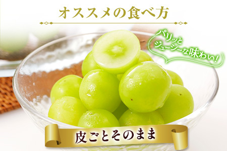 ＜先行予約＞シャインマスカット 3～4房 約2.4kg+100g補償付 宮崎県産 ※2026年8月下旬～【C433-26】