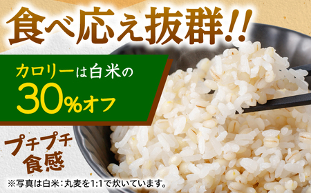 もち麦よりも『ぷりっ』とした弾力 長崎県産 丸麦 10kg / 麦 [AHBU005]