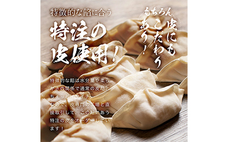 長州黒かしわ餃子＆豚餃子 食べ比べセット 48個入り 手作り 生餃子 餃子 国産野菜 冷凍 化学調味料不使用 化学調味料無添加 らいちの餃子 黒かしわ 長州黒かしわ F6L-954