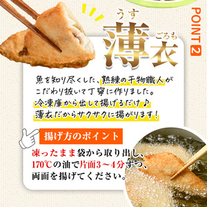 ＜訳あり＞ ひもの屋さんの魚 フライ セット (5種類以上・合計8袋) 鯖 さば 鯛 たい 鯵 あじ 鰤 ぶりきびなご かます アイゴ シイラ ヘダイ ニベ  太刀魚 国産 揚げ物 冷凍 魚 おかず 惣菜 お弁当 揚げるだけ 小分け 詰め合わせ 食べ比べ 【DL28】【鶴見食賓館】