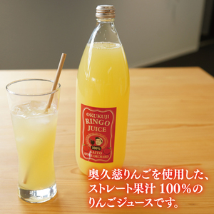 斉藤りんご園の奥久慈りんごジュース（ストレート）1000ml×2本セット（化粧箱入り）｜りんご リンゴ 林檎 リンゴジュース りんごジュース ジュース フルーツ 果物 セット ギフト 贈り物 化粧箱 奥久慈りんご 茨城県 大子町(CG004)