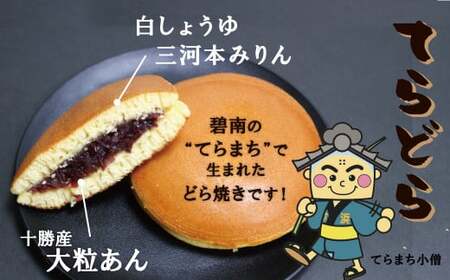 【人気どら焼き2種 10個入】和三盆 蒸しどら（プレーン）× 5 どら焼き(てらどら）×5 餡 ふわふわ しっとり食感 あいちの匠 ものづくりマイスター 優秀和菓子職 愛知県優秀技能者表彰受賞 H181-011