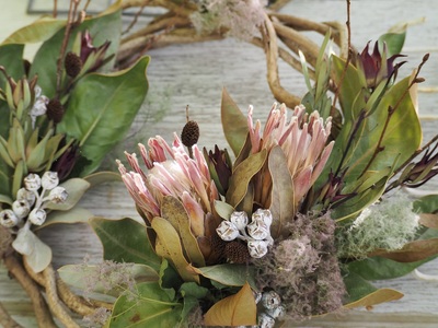 ドライフラワーリース　ワイルドフラワー [h302]