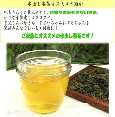 CE035.水出し番茶252パック（21P×12袋）