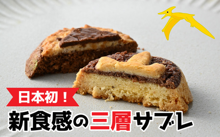 恐竜サブレ缶（小） 福井駅ティラノ缶 [A-135005_01]  きょうりゅう