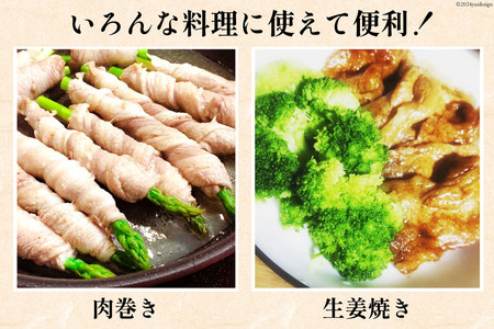 豚肉 切り落とし 宮崎県産 豚 切り落し 500g × 6 計3kg [アグリ産業匠泰 宮崎県 美郷町 31be0060]