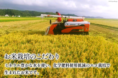 【期間限定発送】 米 令和7年 ひゃくまん穀 精米 5kg [みどりの波 石川県 宝達志水町 38601255]