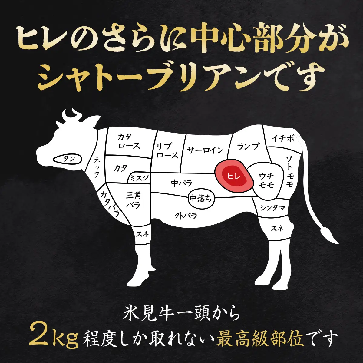 氷見牛 シャトーブリアン  500g ブロック | シャトーブリアン