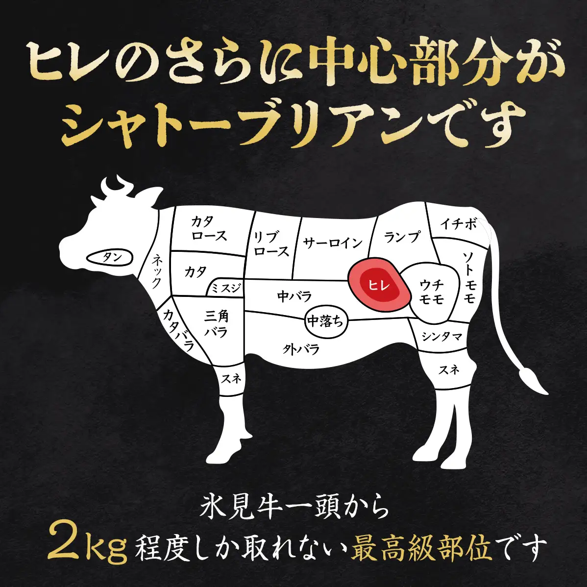 氷見牛 シャトーブリアン ブロック 1kg | シャトーブリアン