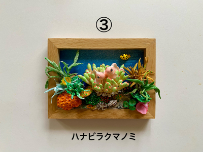 クマノミ各種　フレーム  /  魚 さかな フィッシュ 釣り 海 うみ クマノミ 海水魚 海の生き物 鍵 かぎ 家 車 自転車 かわいい お土産 雑貨 思い出 プレゼント ギフト すさみ 【mac007A】