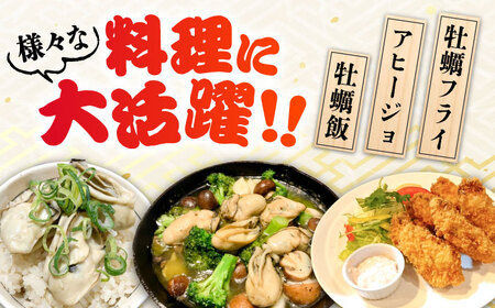 冷凍牡蠣 殻付き3kg 牡蠣[XAO030]