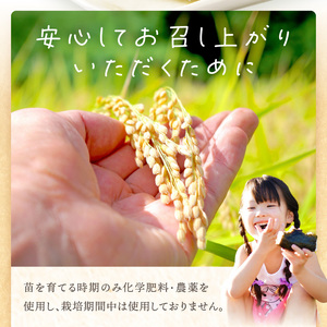 【令和7年産 2025年11月より順次発送】はしもとさんちのお米(10kg)《 お米 米 ヒノヒカリ 精米 お米10kg お米10キロ ごはん ご飯 》【2503B14302】