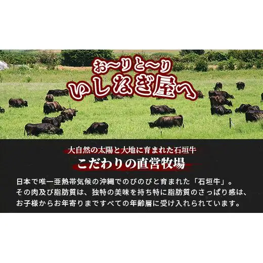 【全2回 定期便D】 石垣牛 すきしゃぶ＆焼肉セット・ステーキ＆焼肉セット　計2kg（いしなぎ屋）　AB-32