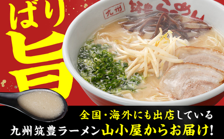 焼豚高菜生ラーメン Ｗチャーシュー8食セット / 豚骨ラーメン スピード配送[AFAE006]