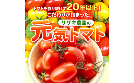 サザキ農園 ミニトマト彩りセット （ プラム型 ） 3kg | 野菜 やさい トマト とまと ミニトマト カラフル 彩り セット 熊本県 玉名市