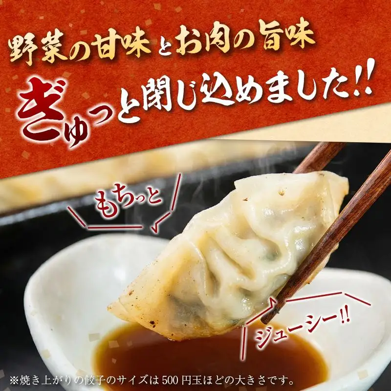 ＜定期便・全4回＞「一口餃子の大明神」一口餃子セット 100個 （50個入×2袋） タレ付き 毎月お届け