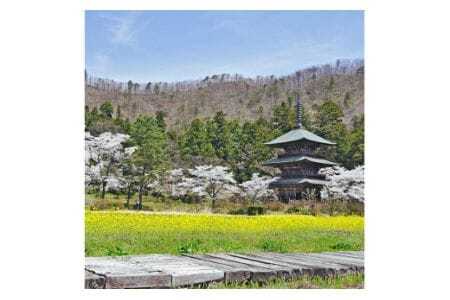 応援寄附 返礼品なし 1,000円 [山形県高畠町役場 山形県 高畠町 tk06ayt210000]