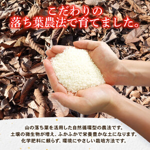 【パックご飯】無洗米 京都府産キヌヒカリ パックご飯 300g×3個 龍の森