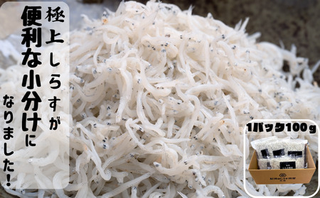 シラス 厳選 小分け 冷凍便 / 冷凍釜揚げしらす1kg（100g×10パック）【dig003A】