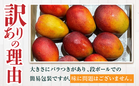 マンゴー 訳あり 宮崎 マンゴー[完熟 1.2kg]