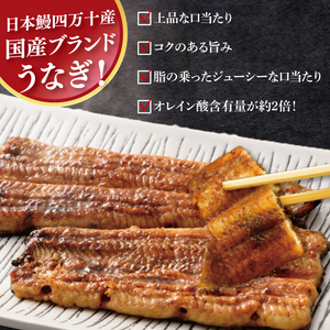 【胡豆柑】日本鰻・蒲焼・白焼きのセット（DH-2）