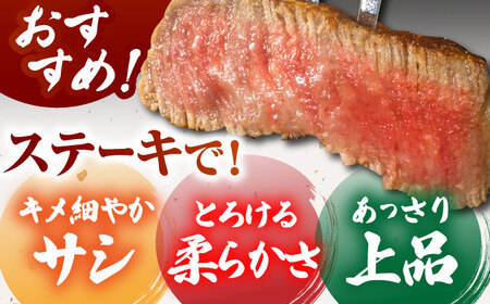 佐賀牛 ステーキ 600g （サーロイン/赤身）  [HCS079]和牛 ステーキ