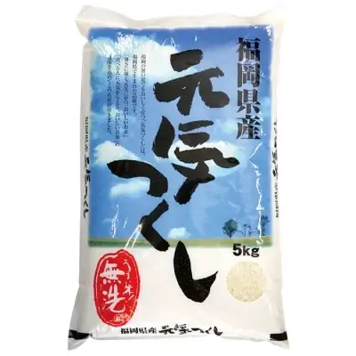 Y17-21 令和7年産 無洗米 元気つくし5kg