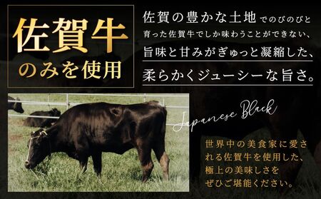 黒毛和牛100％ハンバーグ(約130g×4Pセット)【魚住商店】_HA1520