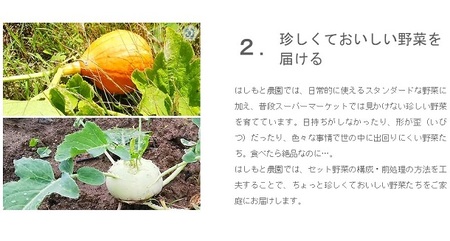 伊勢ノ国のがぶっと野菜玉手箱　：　毎週1回定期便（大人4人1週間分）52回【52-1】