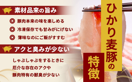 鹿児島県産 ひかり麦豚 焼肉 食べ比べ セット 600g（300g×2パック）＋ 楽塩の粗びき塩こしょう HM-703 | 肉 お肉 にく 豚肉 ロース 肩ロース バラ肉 スライス 粗挽き 塩コショウ 冷凍 真空冷凍 産地直送 新鮮 小分け 甘み 鹿児島県 南大隅町 ひかり麦豚直売所