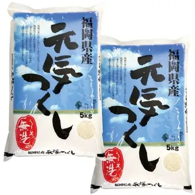 Y17-22 令和7年産 無洗米 元気つくし10kg