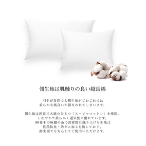 800FPダウンピロー（ポーランド産ホワイトマザーグースダウン使用） [h298]