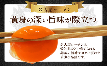 【高級】名古屋コーチン 4パック（計24個）【JGAP認証】飼料にこだわった 採れたて卵 新鮮 希少 たまご 安心 安全 農家直送 たまごかけご飯 生卵 美味しい卵 愛知県 常滑市