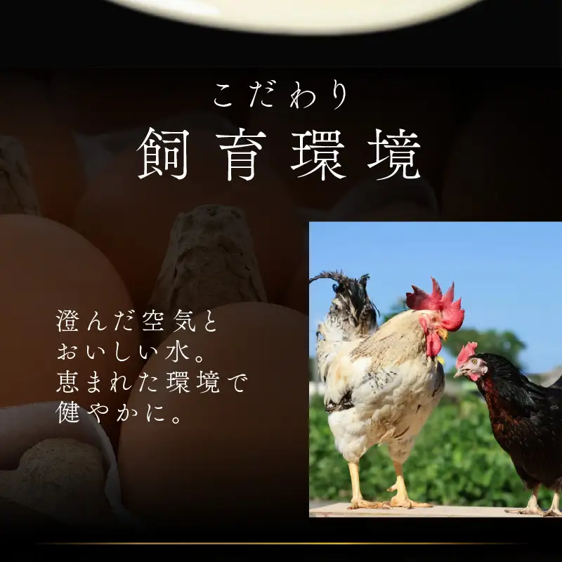 福地鶏の卵を使った 贅沢カステラ プレーン・ざらめ入り 2種×4個 （8個入） / 高級 お菓子 和菓子 洋菓子 スイーツ しっとり たまご 福地鶏 ギフト 贈答 おすすめ 福井県 あわら市 [aw036-a009]