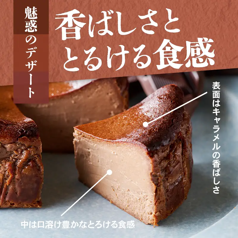 ショコラのバスクチーズケーキ ケーキ B100-022