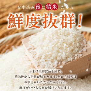 【先行受付】元気つくし（精米）9kg【令和7年度産米】_先行受付 米 元気つくし 精米 9kg 令和7年度産 受注後 鮮度抜群 新鮮 福岡生まれ 風味豊か 旨み 粒立ちしっかり 冷めても美味しい 白米 ご飯 お米 弁当 おにぎり 白ご飯 福岡県産 お取り寄せ 福岡県 久留米市 送料無料 〔Gr049〕