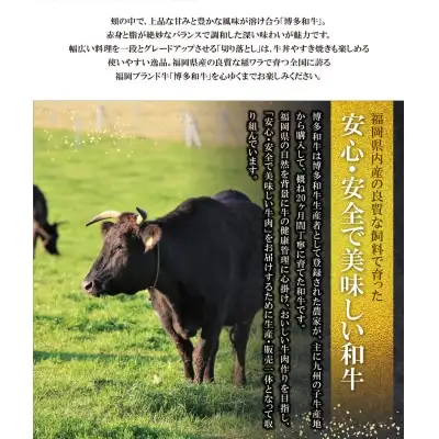 Y09-01 博多和牛 切り落とし500g 牛肉 