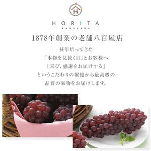 【2026年7月上旬～発送】【先行予約】 種無し デラウエア 2kg（8～12房）