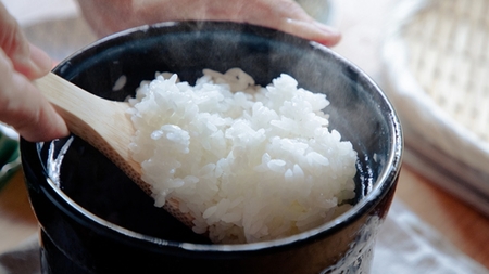 伊賀焼 レンジ炊飯土鍋　伊賀ノ匠　IG11【pmdt001】