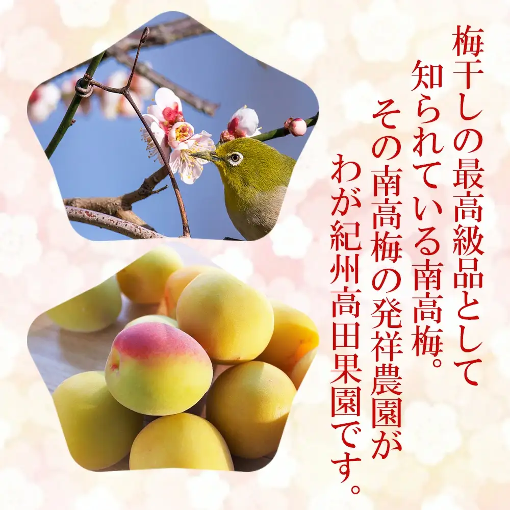 紀州南高梅 種ぬきはちみつ梅 600g 塩分7％（200g×3）tkdkaen005A【tkdkaen005A】
