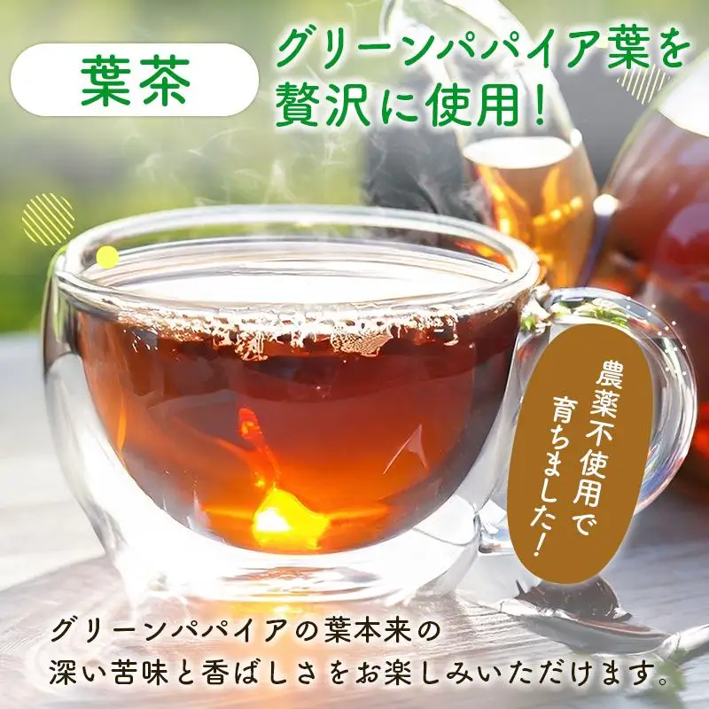 グリーンパパイアティー 2種 セット (果実茶＆葉茶) ティーバッグ 計4袋 宮崎県産