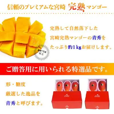 宮崎県産完熟マンゴー[青秀] 合計約1kg（2～3玉）